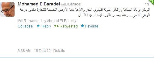 El-Baradei: Another revolution is at hand!
